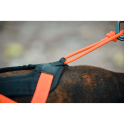 Non-stop dogwear Rush Harness