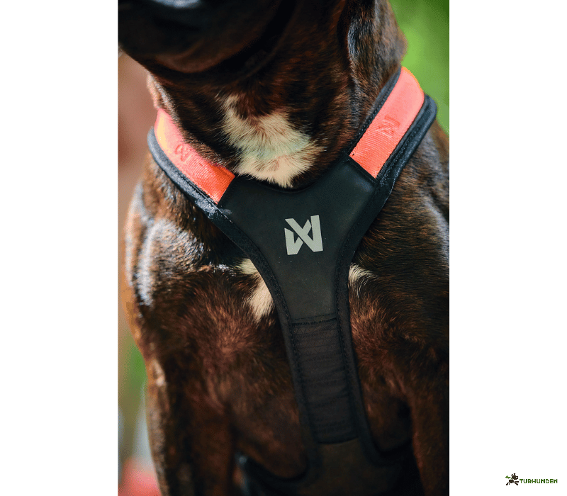Non-stop dogwear Rush Harness