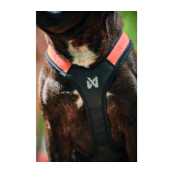 Non-stop dogwear Rush Harness