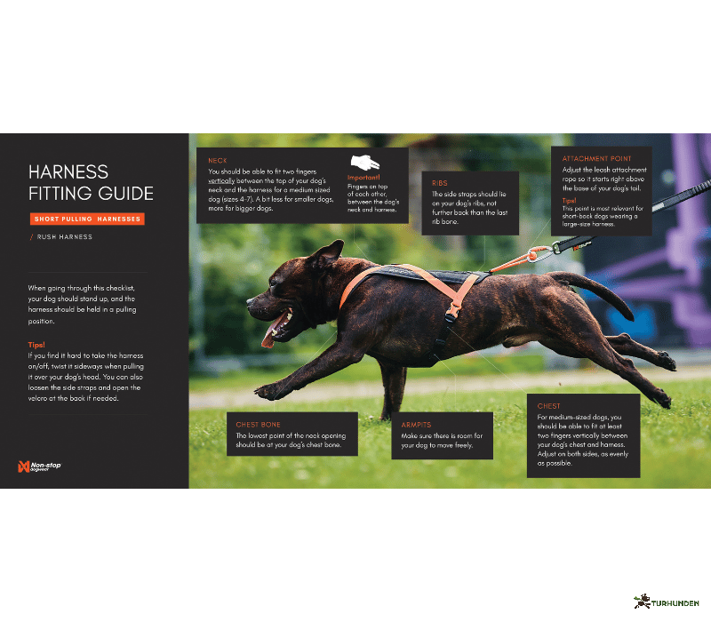 Non-stop dogwear Rush Harness