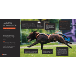 Non-stop dogwear Rush Harness