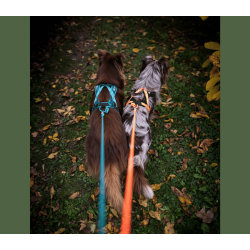 Non-stop dogwear Rush Harness