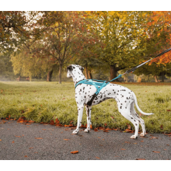 Non-stop dogwear Rush Harness