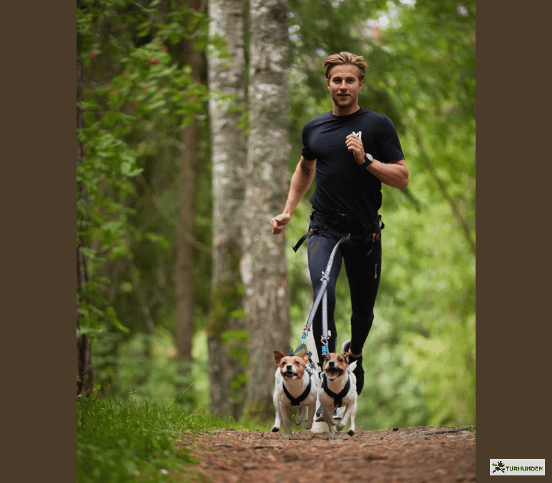 Non-stop dogwear Touring Double