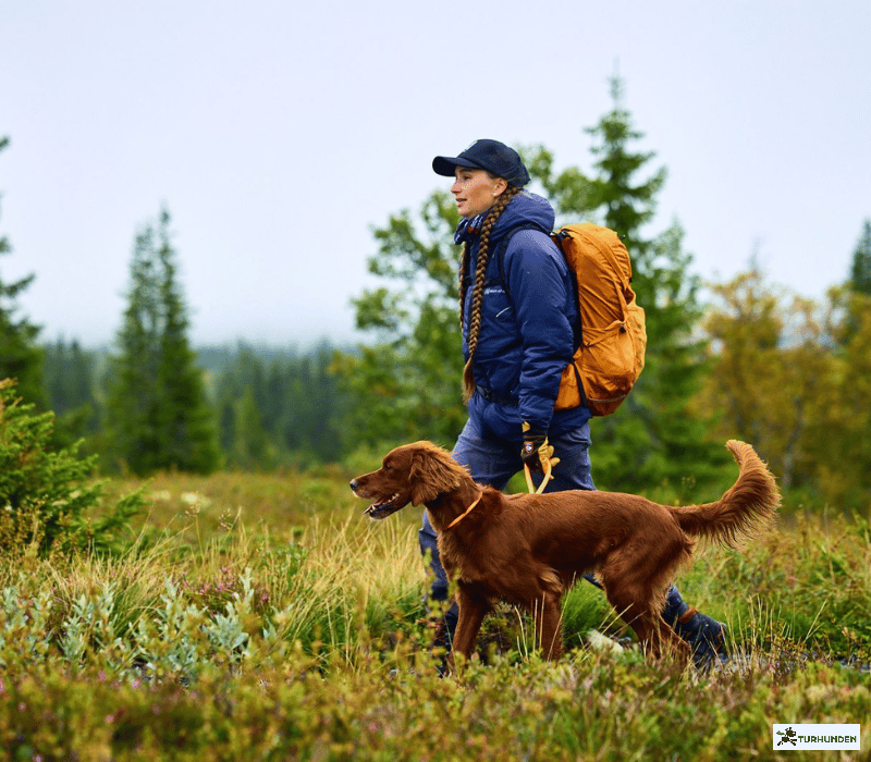 Non-stop dogwear Trail Pants - Dame bukser