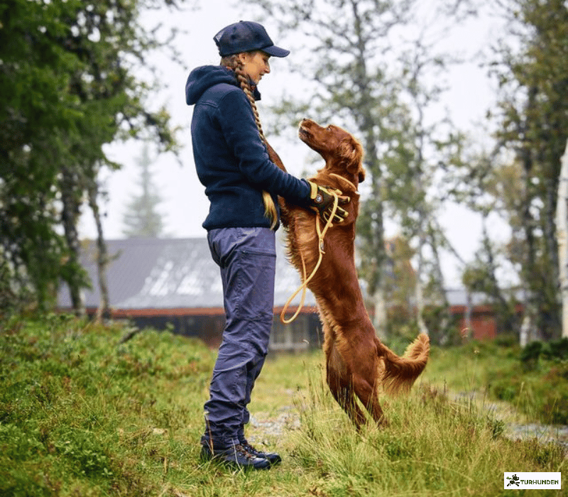 Non-stop dogwear Trail Pants - Dame bukser