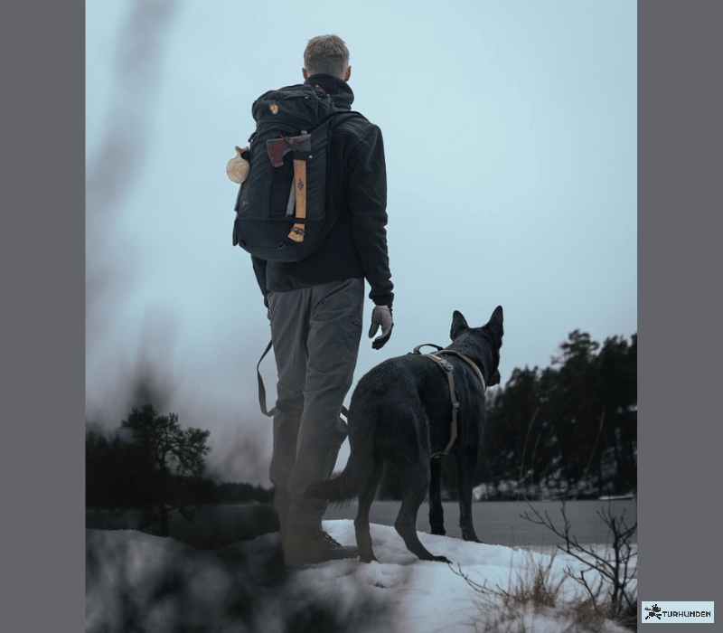 Non-stop dogwear Trail Pants - Herre bukser