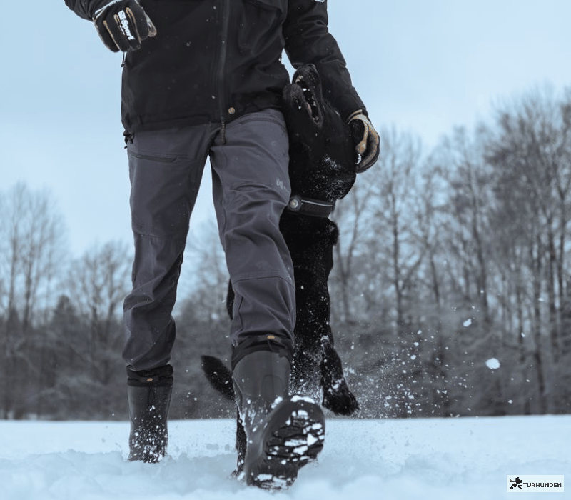 Non-stop dogwear Trail Pants - Herre bukser