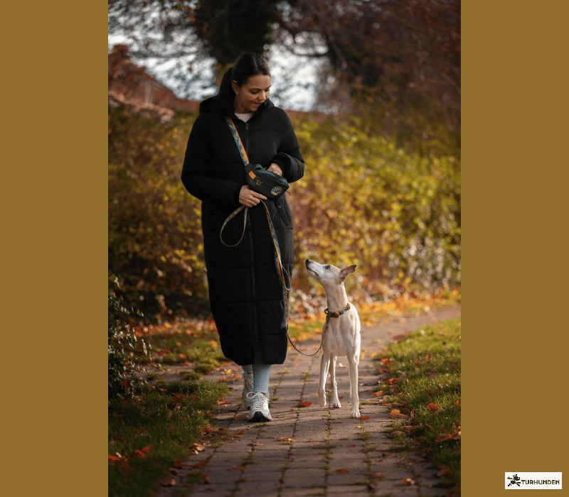 Non-stop dogwear Trail Quest Fanny Pack  Rachel Pohl Edition