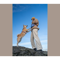 Non-stop dogwear Trail Quest Fanny Pack  Rachel Pohl Edition