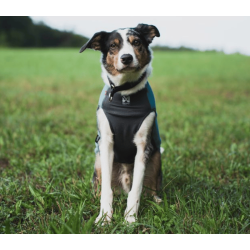 Non-stop dogwear Trail Quest Fleece pullover