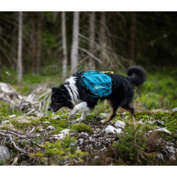 Non-stop dogwear Trail quest dog backpack