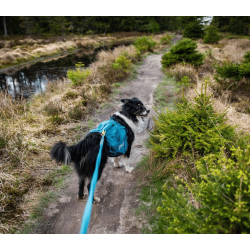 Non-stop dogwear Trail quest dog backpack