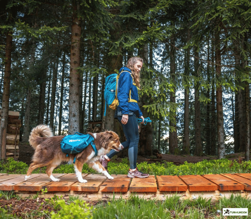 Non-stop dogwear Trail quest dog backpack