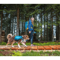 Non-stop dogwear Trail quest dog backpack
