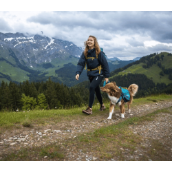 Non-stop dogwear Trail quest dog backpack