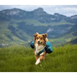Non-stop dogwear Trail quest dog backpack