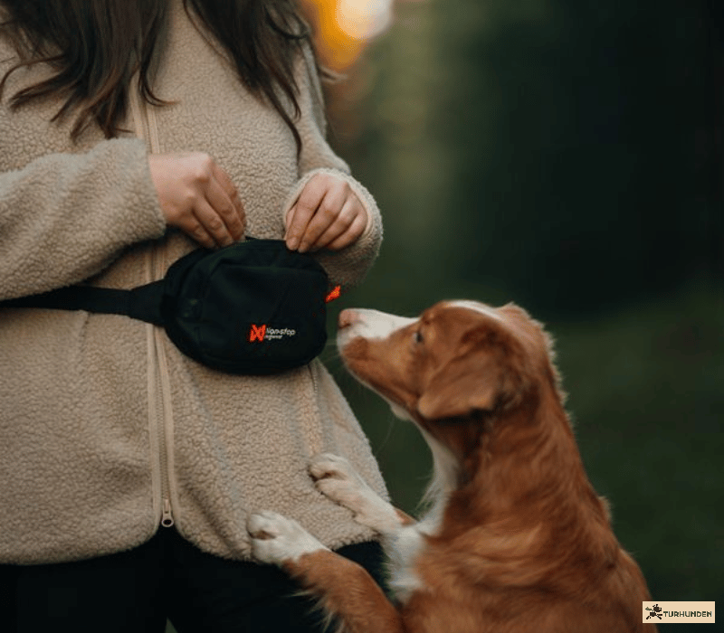 Non-stop dogwear Trail Quest Fanny Pack