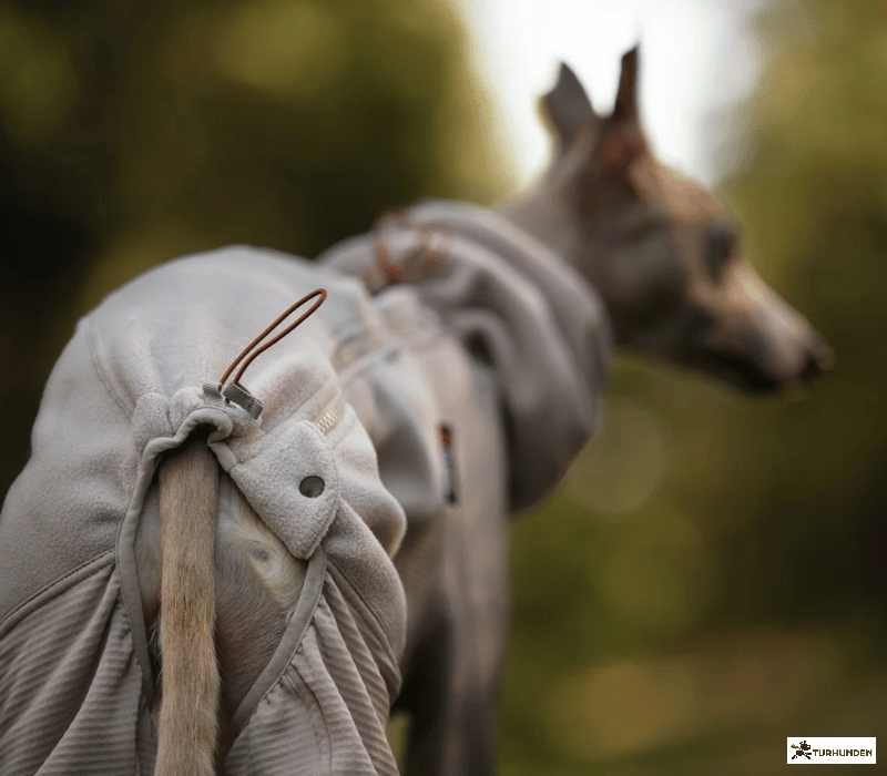 Non-stop dogwear Trail quest fleece overall 