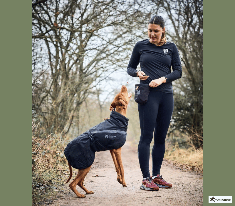 Non-stop dogwear Treat Bag