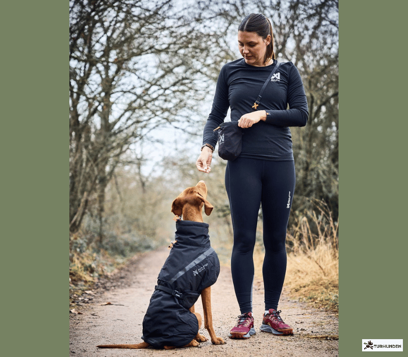 Non-stop dogwear Treat Bag