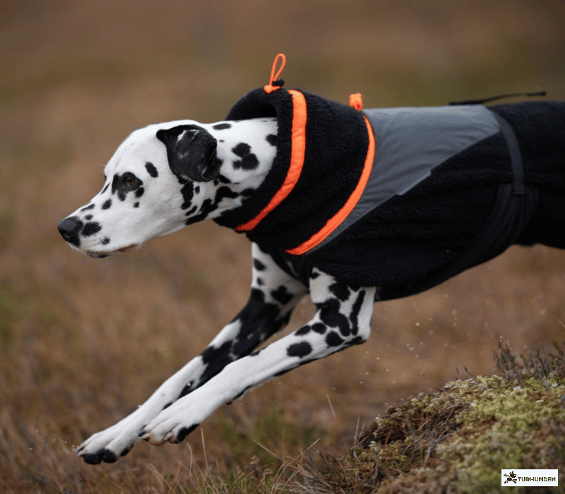 Non-Stop dogwear Trekking Fleece Jacket