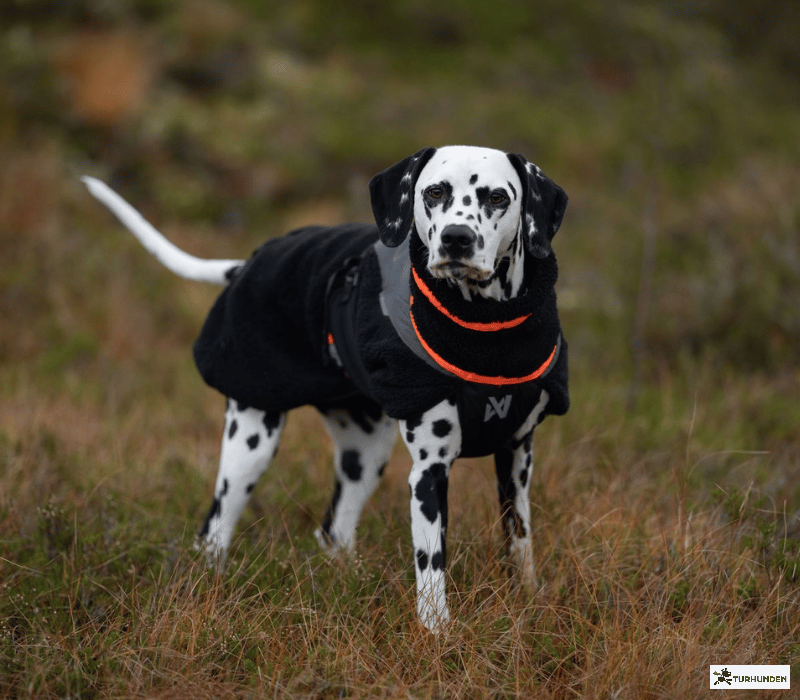 Non-Stop dogwear Trekking Fleece Jacket