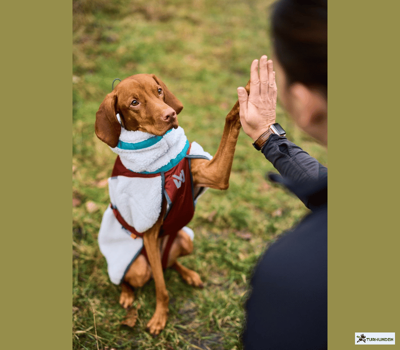 Non-Stop dogwear Trekking Fleece Jacket
