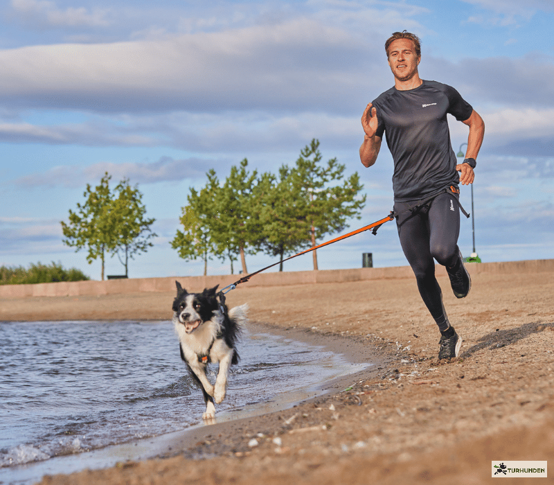 Non-stop dogwear Bungee Leash