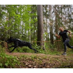 Non-stop dogwear Bungee Leash