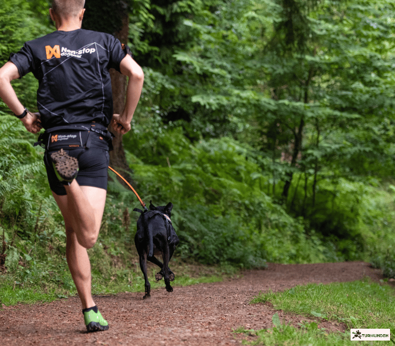 Non-stop dogwear Bungee Leash