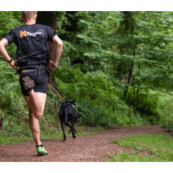 Non-stop dogwear Bungee Leash