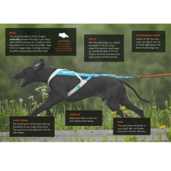 Non-stop Dogwear Freemotion 5.0