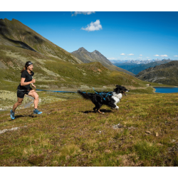 Non-stop Dogwear Freemotion 5.0