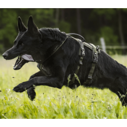 Non-Stop Dogwear Line Harness Long WD