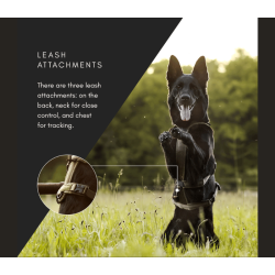 Non-Stop Dogwear Line Harness Long WD