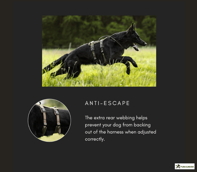 Non-Stop Dogwear Line Harness Long WD