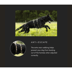 Non-Stop Dogwear Line Harness Long WD