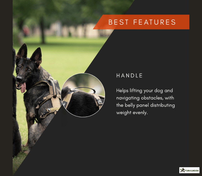 Non-Stop Dogwear Line Harness Long WD