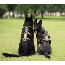 Non-Stop Dogwear Line Harness Long WD