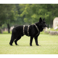 Non-Stop Dogwear Line Harness Long WD