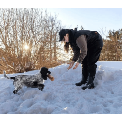 Non-Stop Dogwear Obedience Vest - Dame