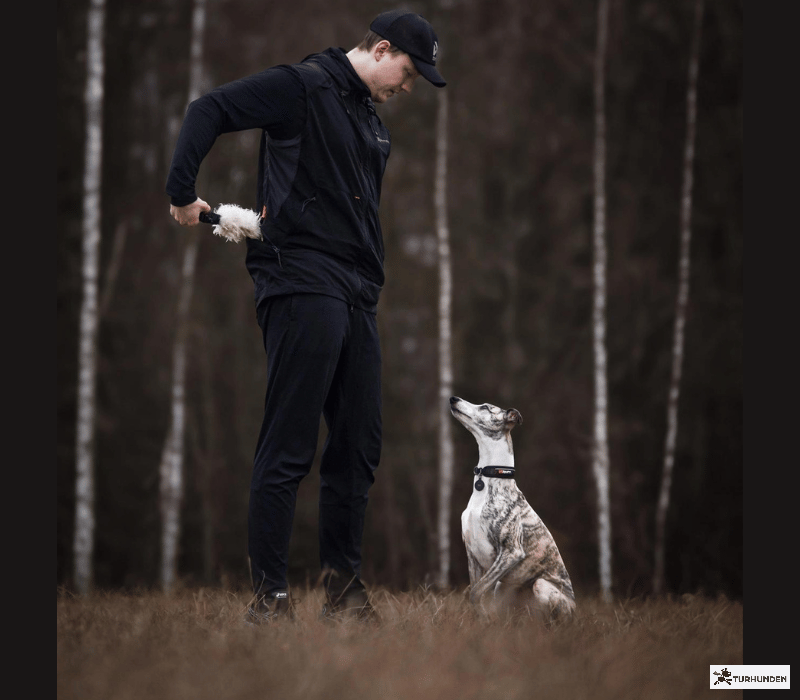 Non-Stop Dogwear Obedience Vest - Herre