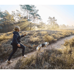 Non-stop Dogwear Trail Light Blte