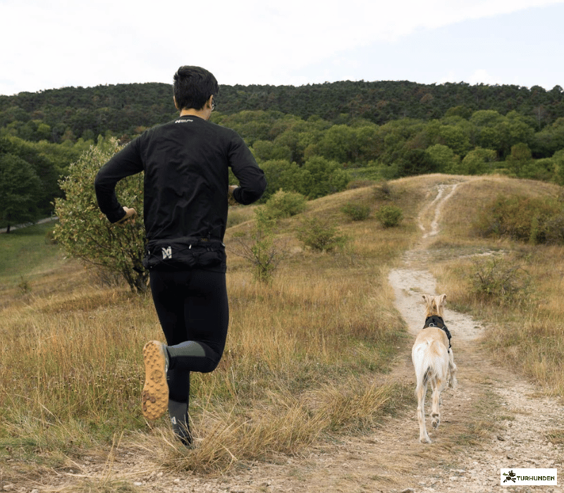 Non-stop Dogwear Trail Light Blte