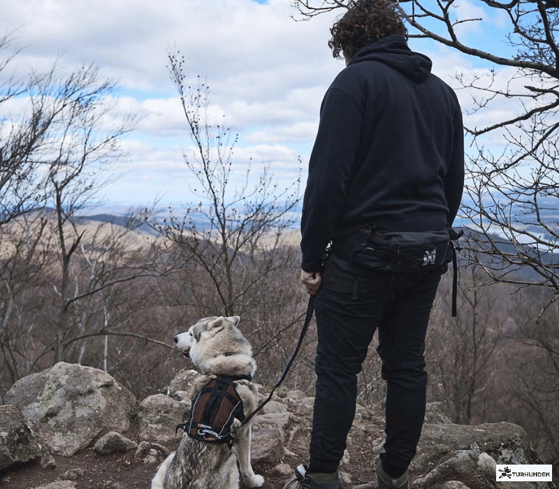 Non-stop Dogwear Trail Light Blte