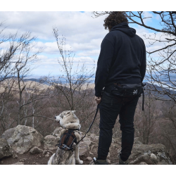 Non-stop Dogwear Trail Light Blte