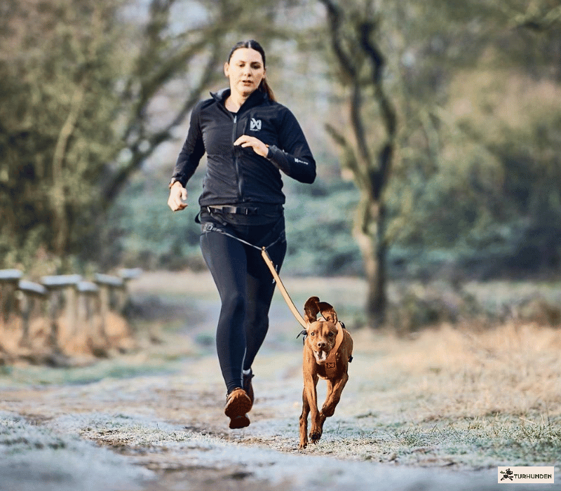 Non-stop dogwear CaniX Kit - Freemotion