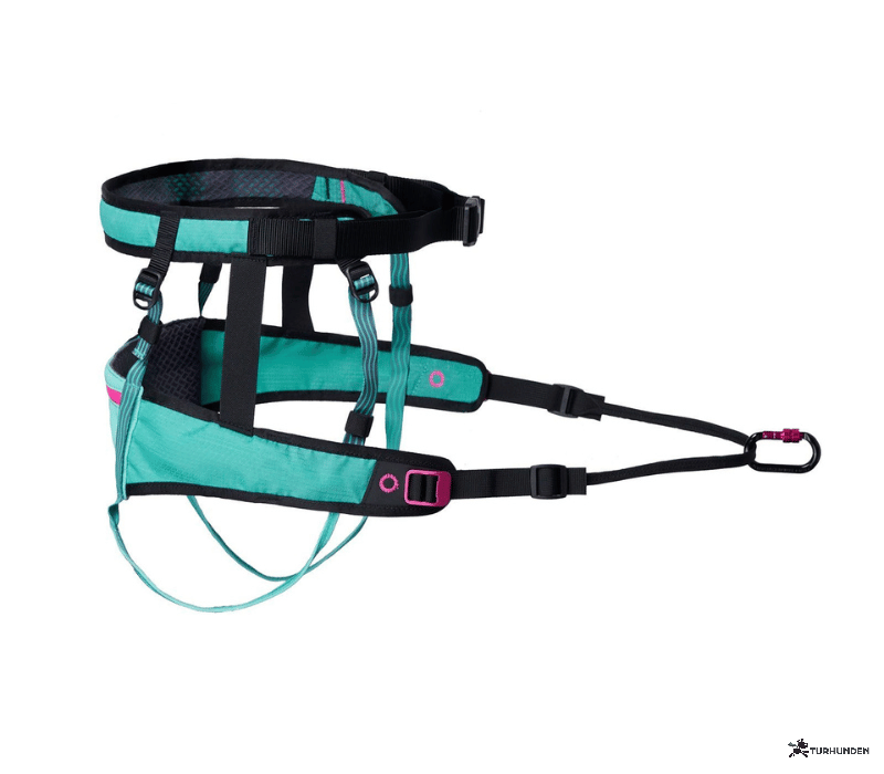 Non-stop dogwear CaniX B�lte 2.0 - Aqua/Pink