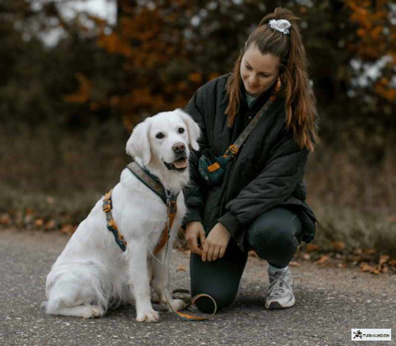 Non-stop dogwear Line Harness 5.0 Rachel Pohl Edition